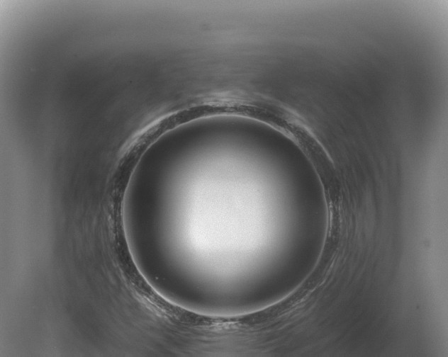 X0000081451304200701191703