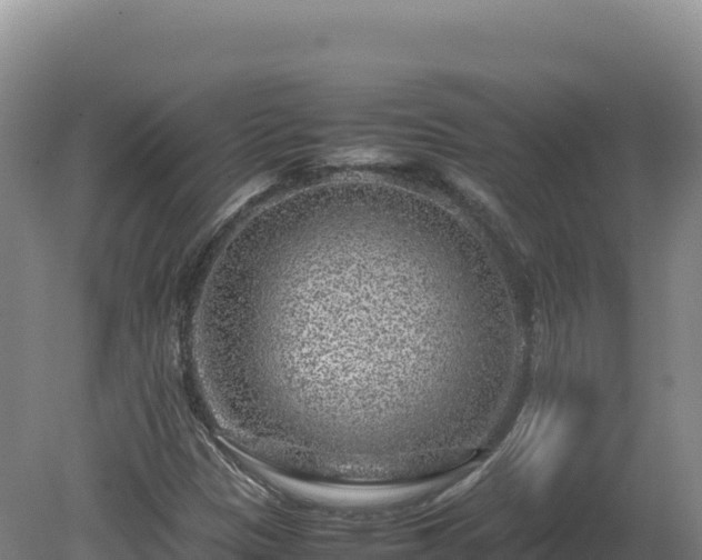 X0000081451305200701191703