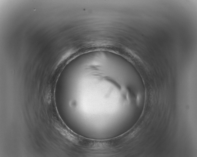 X0000081451306200701191703