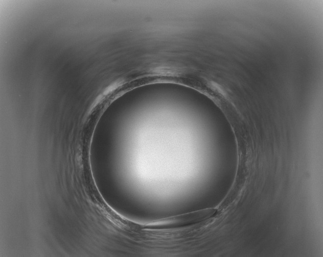 X0000081451307200701191703