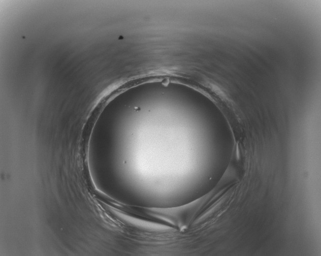 X0000081451308200701191703