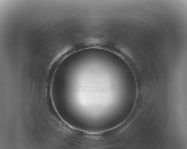 X0000081451309200701191703