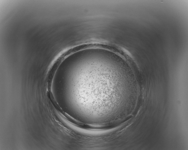 X0000081451310200701191703