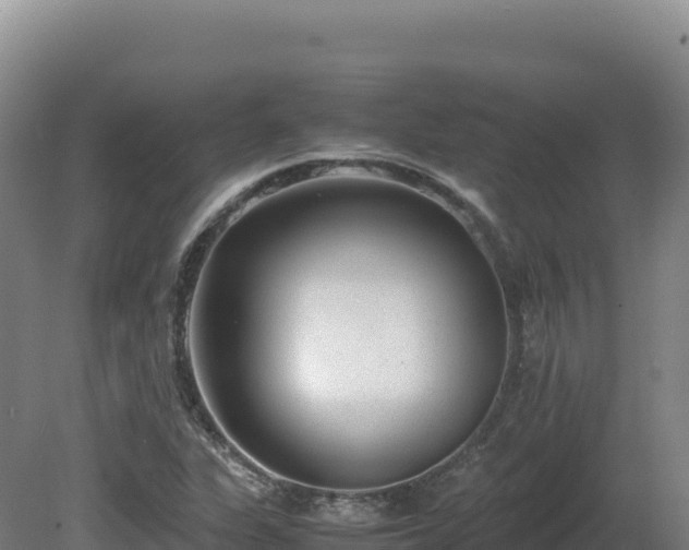 X0000081451311200701191703