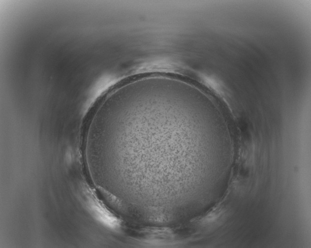 X0000081451312200701191703