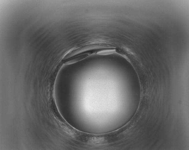 X0000081451313200701191703