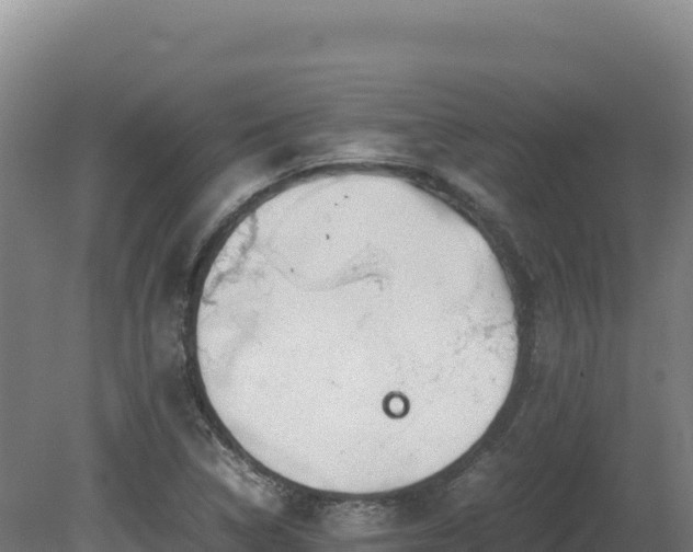 X0000081451314200701191703