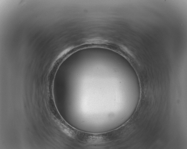 X0000081451315200701191703