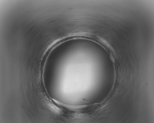 X0000081451316200701191703