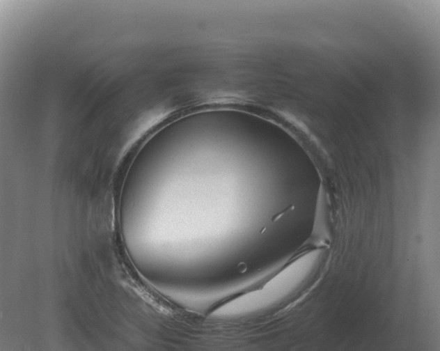 X0000081451317200701191703