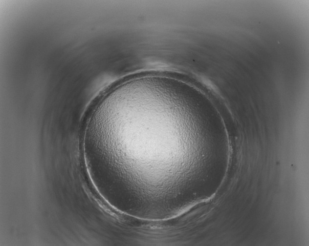 X0000081451318200701191703