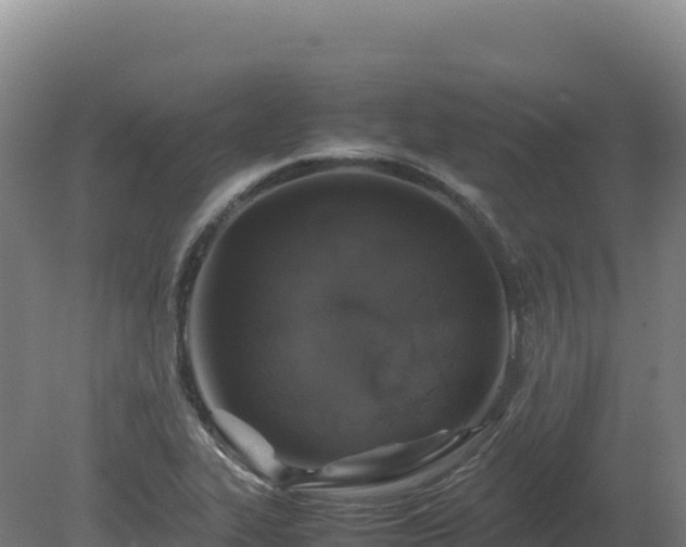 X0000081451319200701191703