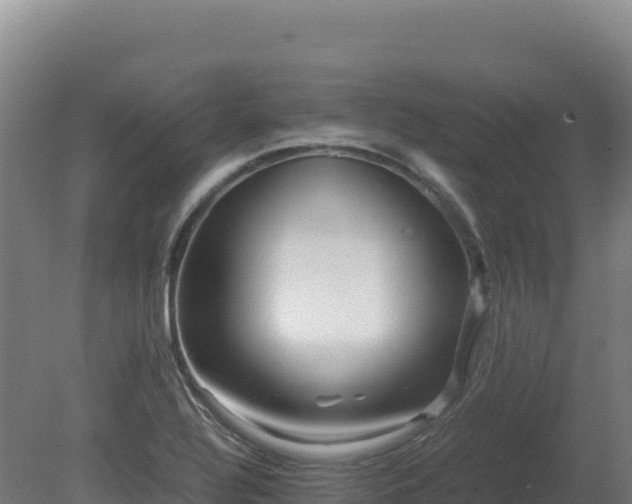 X0000081451320200701191703