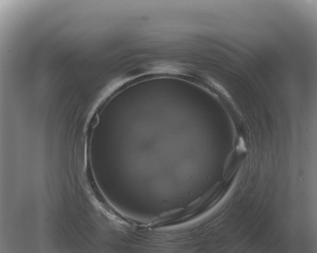 X0000081451323200701191704