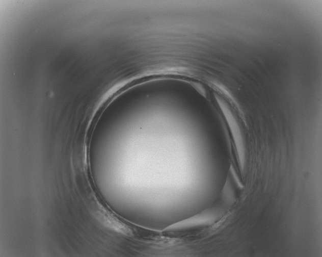 X0000081451324200701191704