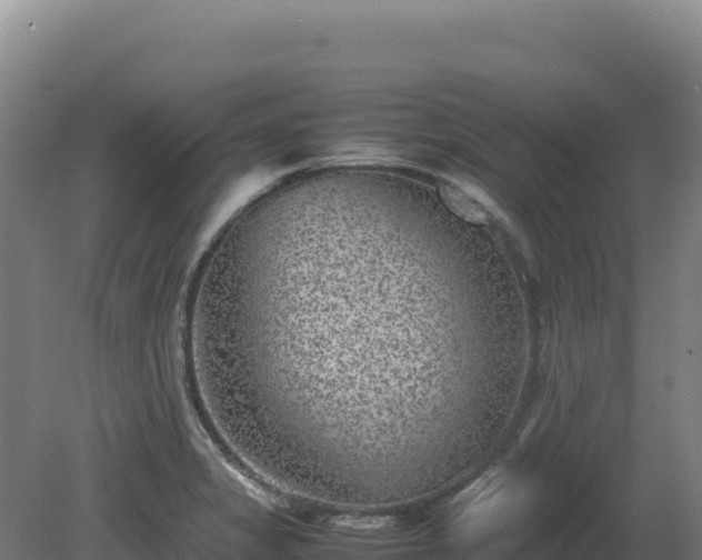 X0000081451325200701191704