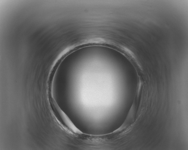 X0000081451326200701191704