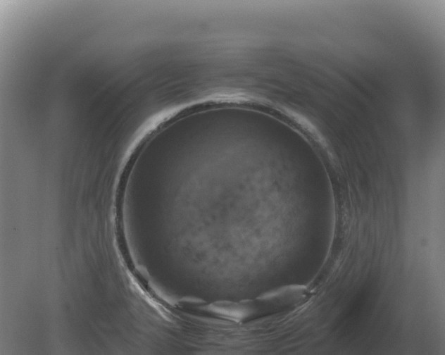 X0000081451327200701191704