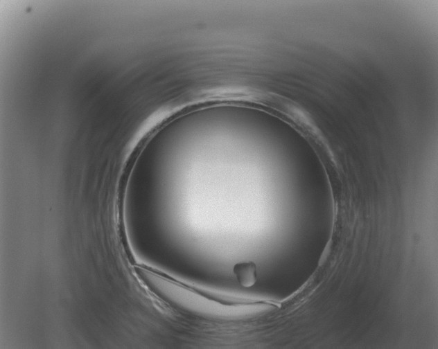 X0000081451328200701191704