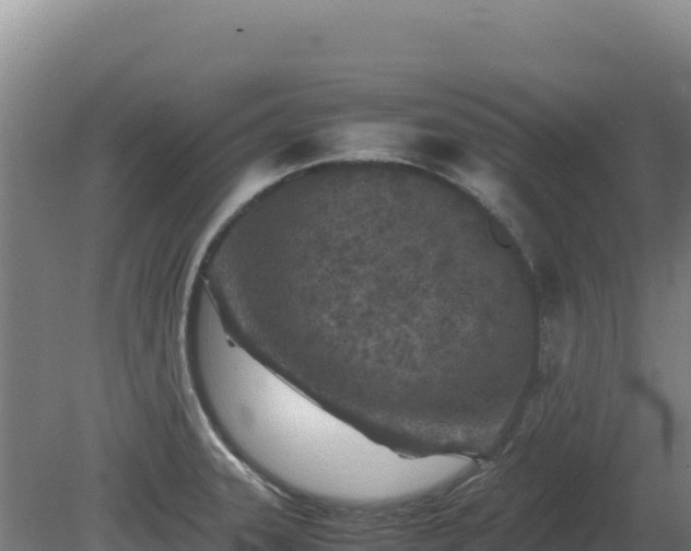 X0000081451331200701191704