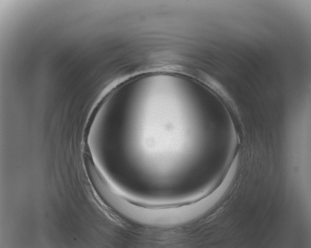 X0000081451332200701191704