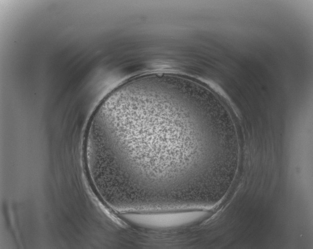 X0000081451333200701191704