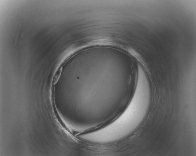 X0000081451334200701191704