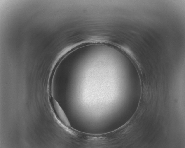 X0000081451335200701191704