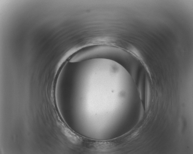 X0000081451336200701191704