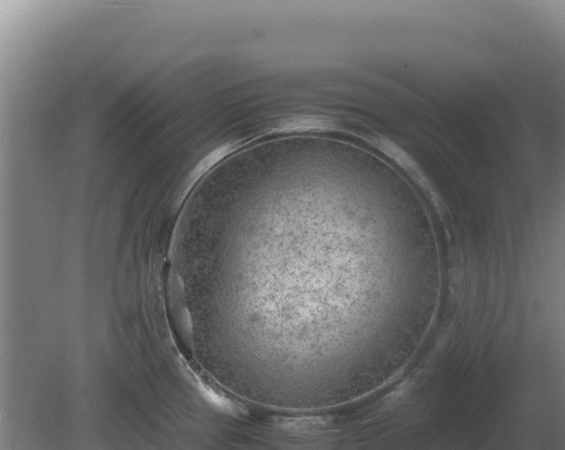 X0000081451337200701191704