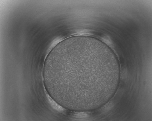 X0000081451338200701191704