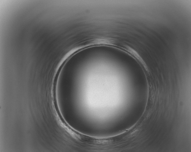 X0000081451339200701191704