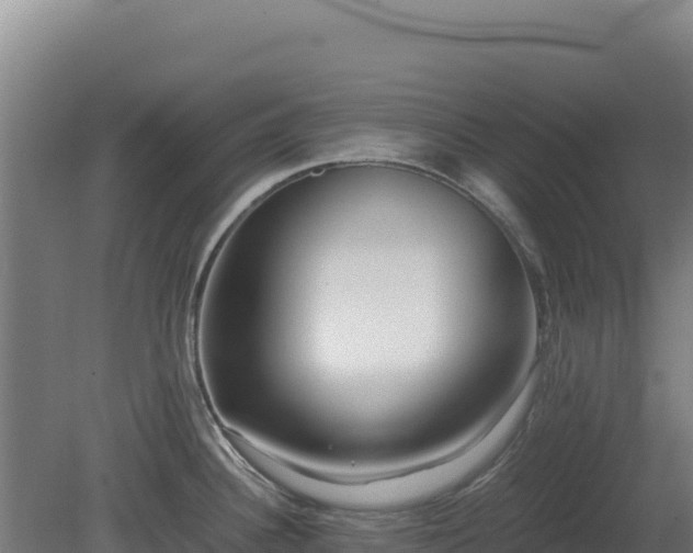 X0000081451340200701191704