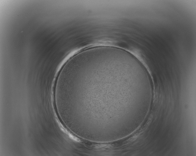 X0000081451341200701191704