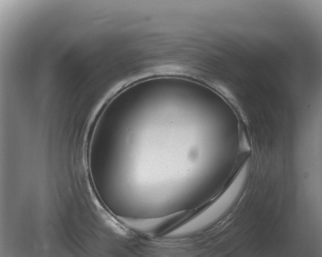 X0000081451342200701191704