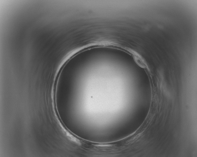 X0000081451343200701191704