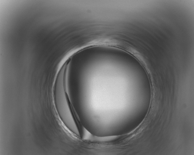 X0000081451344200701191704