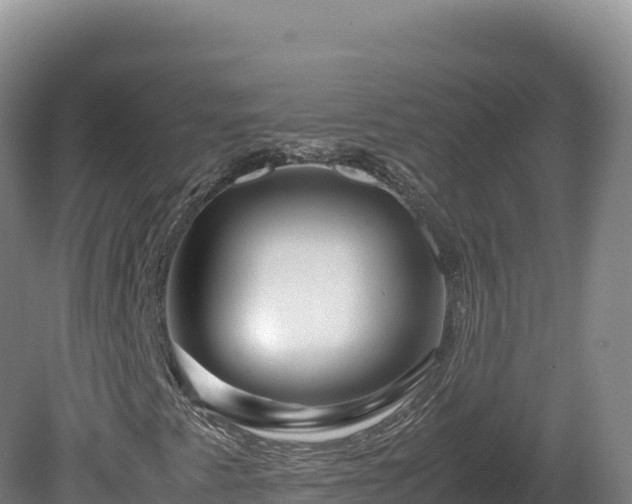 X0000081451345200701191703