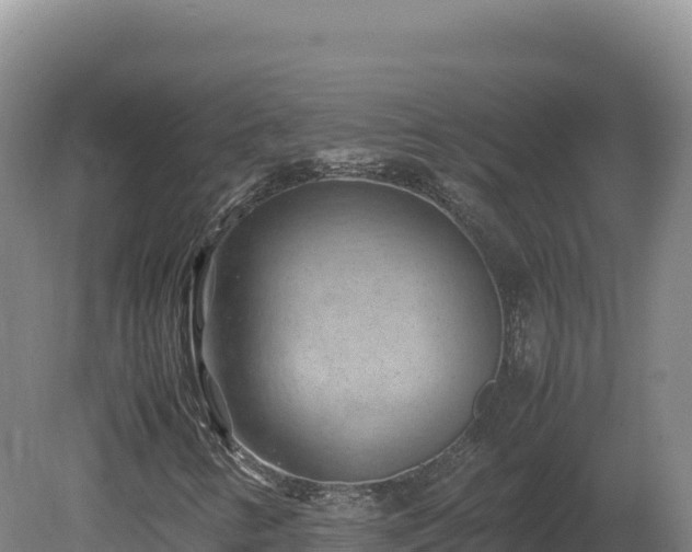 X0000081451346200701191703