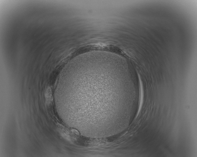 X0000081451347200701191703