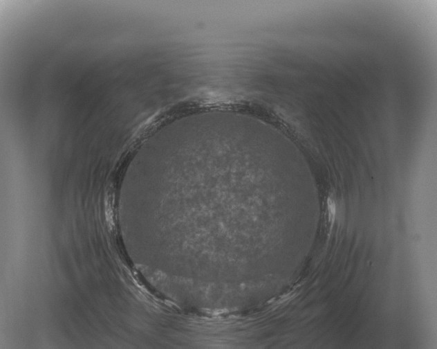 X0000081451348200701191703