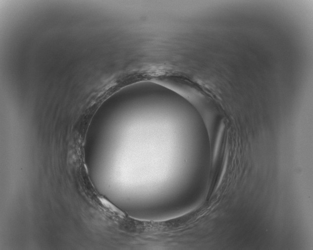 X0000081451349200701191703