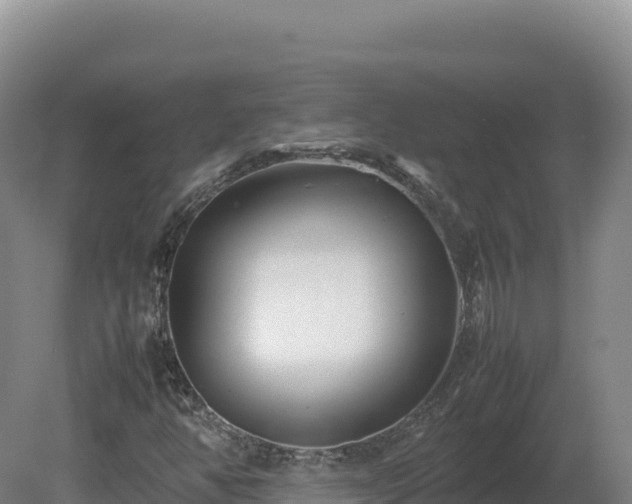 X0000081451350200701191703