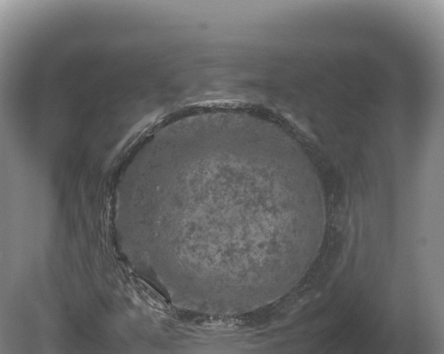 X0000081451351200701191703