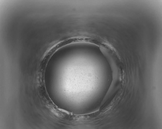 X0000081451352200701191703