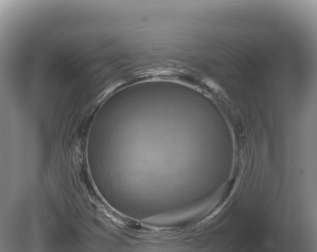 X0000081451353200701191703