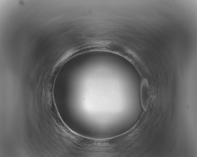 X0000081451354200701191703