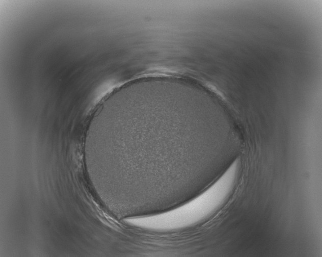 X0000081451355200701191703