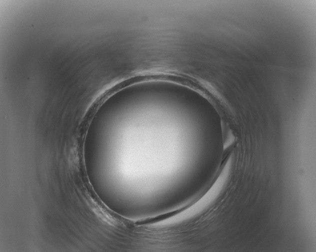 X0000081451356200701191703