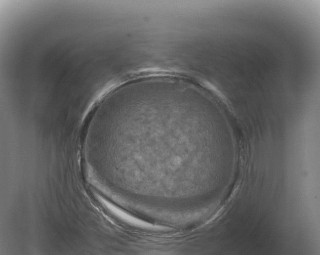 X0000081451357200701191703